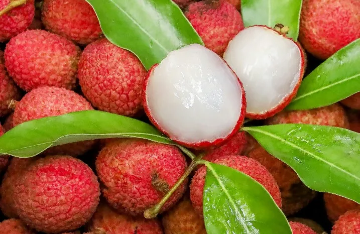 benefits of lychees for body health