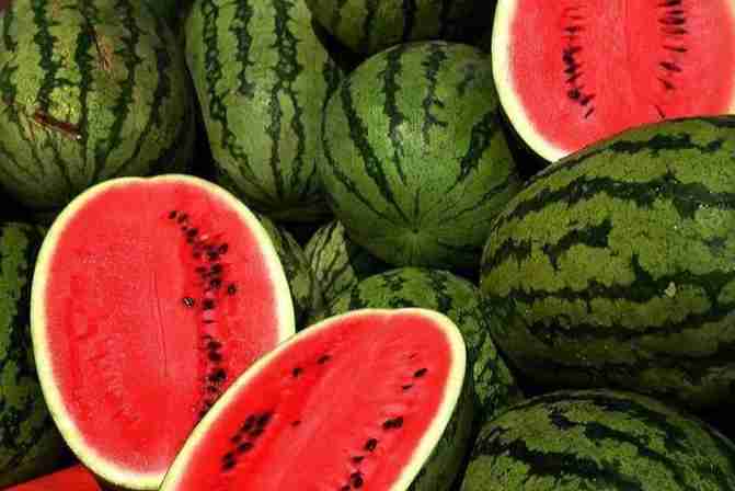 benefits of watermelon for body health