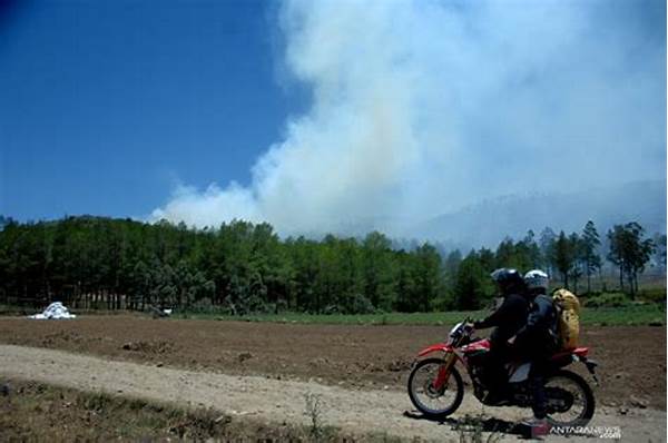 Kebakaran Hutan Di Sulawesi Selatan Makin Meluas